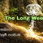 The Long Weekend