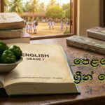 texbooks and green pepper