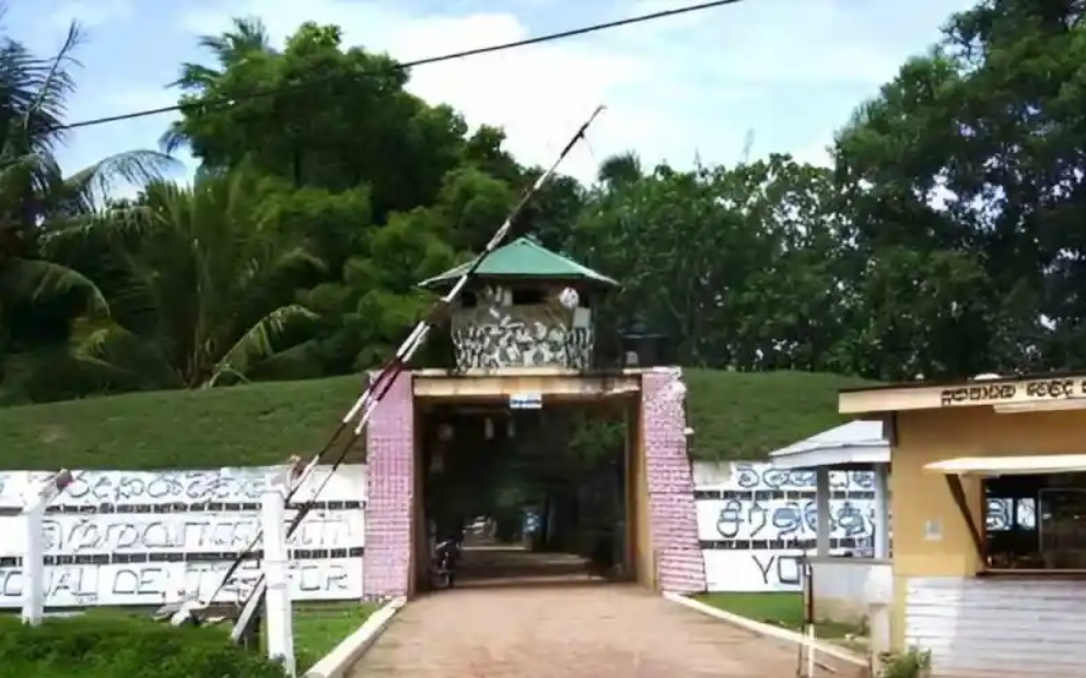 Pallansena